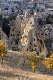 Feenkamin im Pigeon Valley