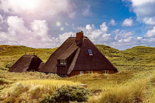 Thatched roof house between dunes