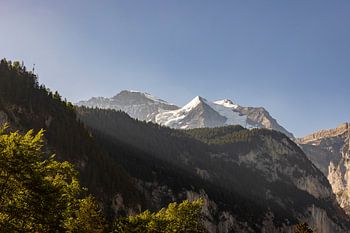 Morgenlicht auf der Jungfrau