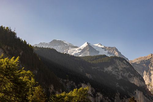 Ochtendlicht op de Jungfrau