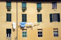 Lucca