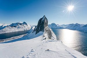 Blick auf Hester und die Fjorde bei Senja