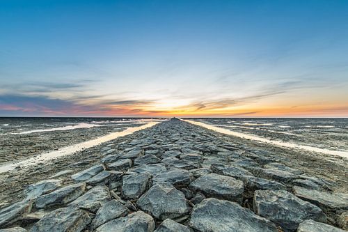 Het wad