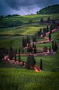 Lichtsnelheid in Toscane van Edwin Mooijaart thumbnail