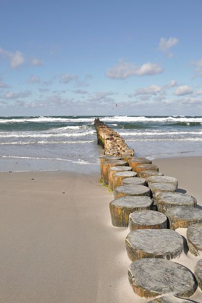 Sur la côte de la mer Baltique par Karina Moersch