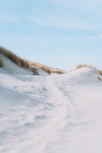 Rustgevende duinen met blauwe lucht