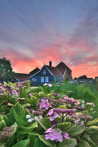 Ferme de fromages Zaanse Schans