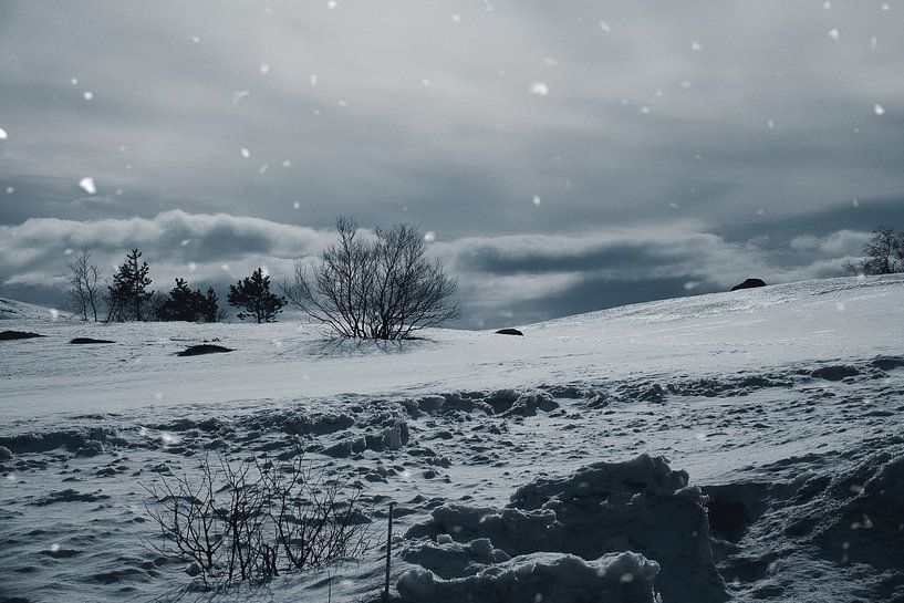 Norwegian high mountains, snow-covered mountains and landscape in black and white by Martin Köbsch