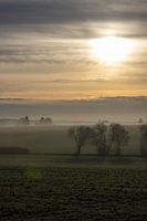 Eenzaam winterlandschap bij zonsopgang met mist, rijp, bomen en velden