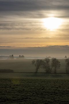 Eenzaam winterlandschap bij zonsopgang met mist, rijp, bomen en velden van Andreas Freund