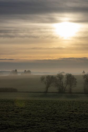 Eenzaam winterlandschap bij zonsopgang met mist, rijp, bomen en velden