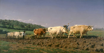 Labour à Nevers, Rosa Bonheur