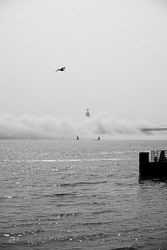 Uitzicht over de Taag van AC Fotografin