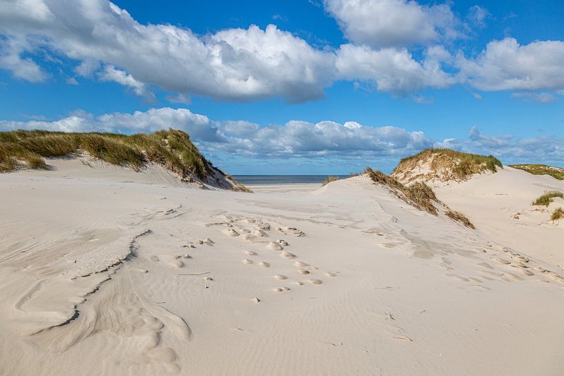 Dune on Amrum by Thomas Heitz
