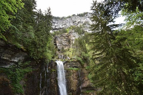 Waterval omringd door bergen en groen bos of woud