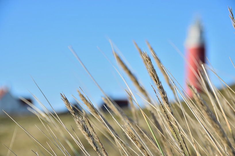 Vuurtoren Waddeneiland Texel by Maurice Gort