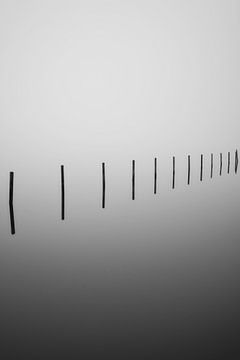 Eight poles by Marvin Schweer