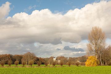 Landgoed Beverweerd sur Marijke van Eijkeren