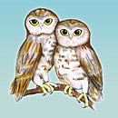 Twee schattige uilen van Bianca Wisseloo thumbnail