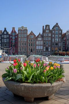 Tulpen uit Amsterdam van Peter Bartelings