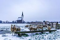 Den Hoorn - Texel - in de winter van Texel360Fotografie Richard Heerschap thumbnail
