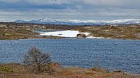 Norwegen, Frühling
