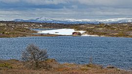 Norwegen, Frühling von Michael Schreier