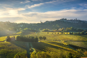 Die Bergstadt Montepulciano und ihre Weinberge im Morgengrauen