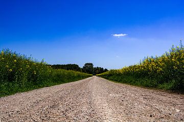 De steenachtige weg naar huis van Photoart-Naegele