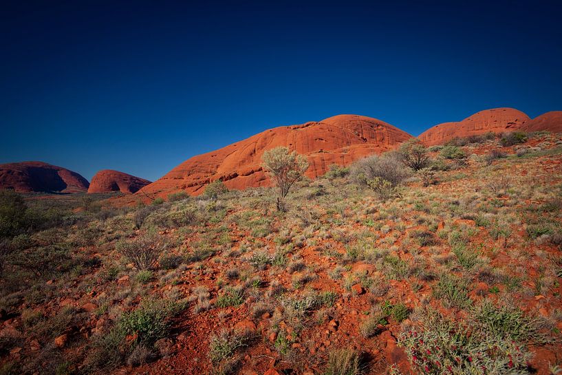Kata Tjuta II by Ronne Vinkx