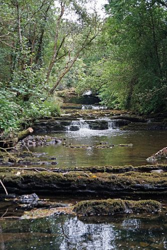 Fowley's Falls in Ierland