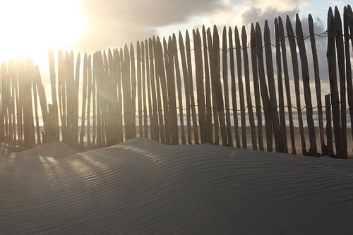 beach fence