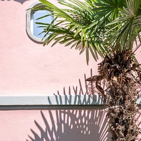 Palmboom met schaduw tegen roze muur – zomerse wanddecoratie van Photography art by Sacha