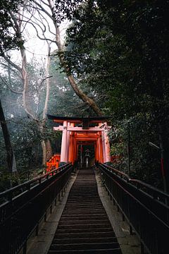 Fushimi Inari-Taisha van Mert Sezer