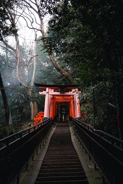 Fushimi Inari-Taisha von Mert Sezer