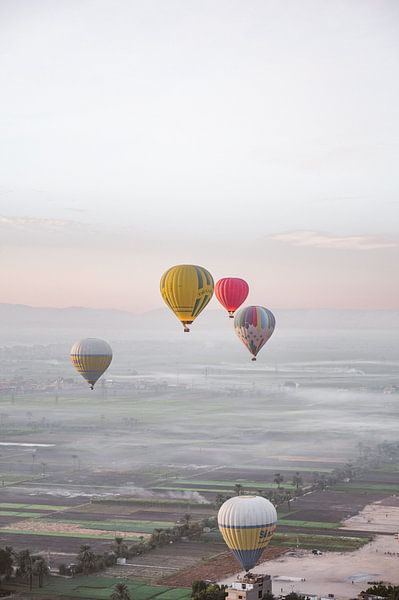 Coloured Hot Air Balloons sunrise the Nile Luxor, Egypt by Hannah Hoek