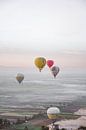 Farbige Heißluftballons Sonnenaufgang am Nil Luxor, Ägypten von Hannah Hoek Miniaturansicht