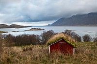 Norwegian landscape