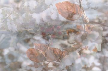 Winter landscape by Art. by Janine