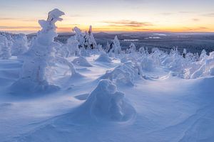 Uitzicht over het winterlandschap van Daniela Beyer