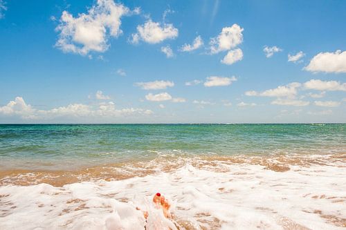 Anse de l'Étang in Martinique