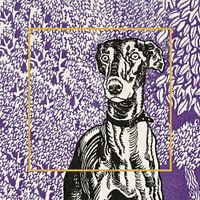 Weense jeugdstijl Greyhound