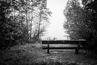 Eine rustikale Bank, die überhaupt nichts übersieht.