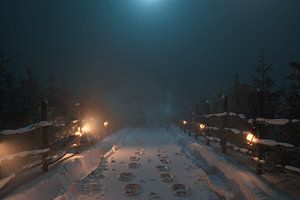 Une nuit d'hiver silencieuse sur une route de campagne enneigée sur Besa Art