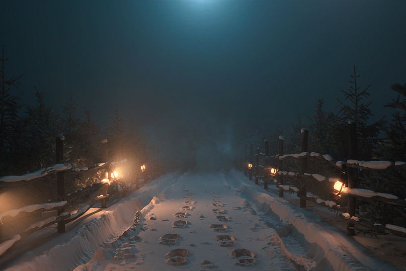 Stille winternacht op een besneeuwde landweg van Besa Art