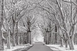 Like a painting by Chris Biesheuvel I  Dream Scapes