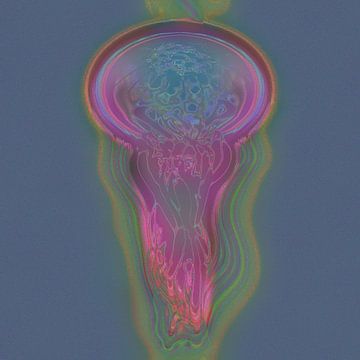 Jellyfish N.5 van Olis-Art