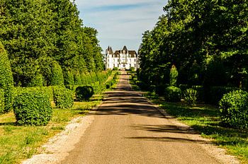 Allée d'entrée du parc du château sur la Loire France