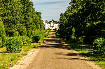 driveway avenue castle park on the Loire France by Dieter Walther