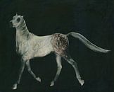 Pferd läuft stolz von Jan Keteleer Miniaturansicht